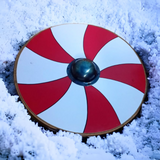 Viking Shield Authentic Viking shield