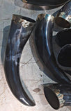 Viking Drinking Horn